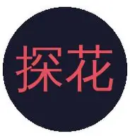 探花视频
